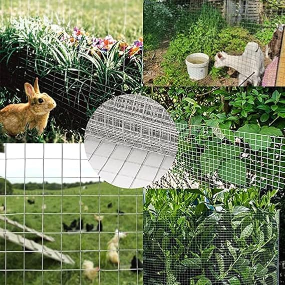 Grillage de cage à Poules Galvanisé Rouleau de 10 mètres – Maille 25x25 pour Jardin - SQES
