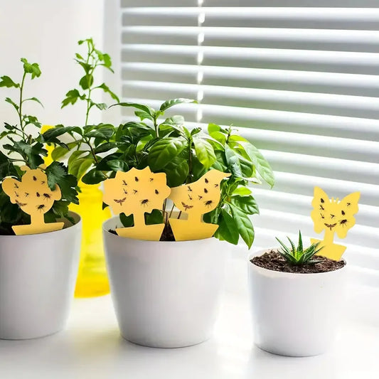 BOSS TAPE Anti Moucherons Plantes Intérieur, Pièges Engluées Autocollants (4pcs) 20cm - SQES