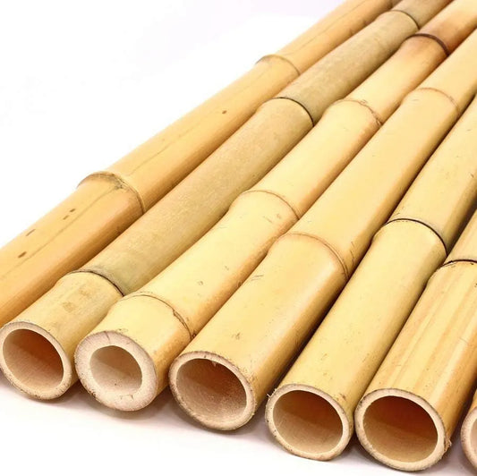 Bambou naturelle, titeur de plante, tige 1,8m, lot de 10pcs - SQES