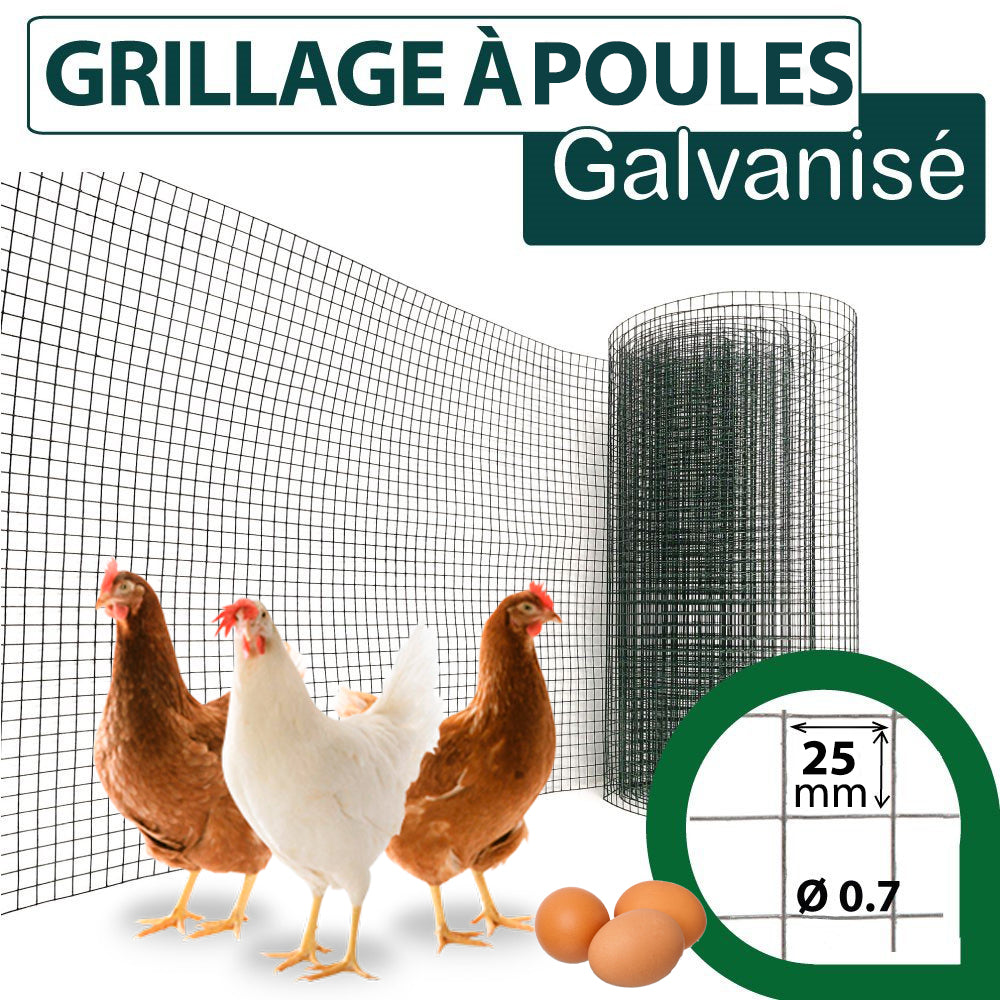 Grillage de cage à Poules Galvanisé Rouleau de 10 mètres – Maille 25x25 pour Jardin - SQES
