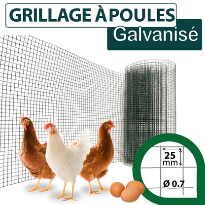Grillage de cage à Poules Galvanisé Rouleau de 10 mètres – Maille 25x25 pour Jardin - SQES