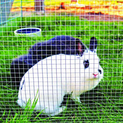 Grillage de cage à Lapin Galvanisé Rouleau de 10 mètres – Maille 25x25 pour Jardin - SQES